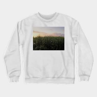 Creepy Maize Field In France Crewneck Sweatshirt